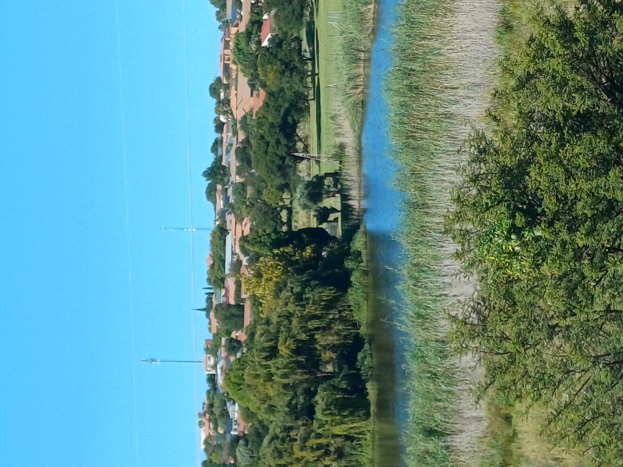 Fochville Town